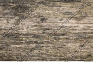 photo texture of wood bare 